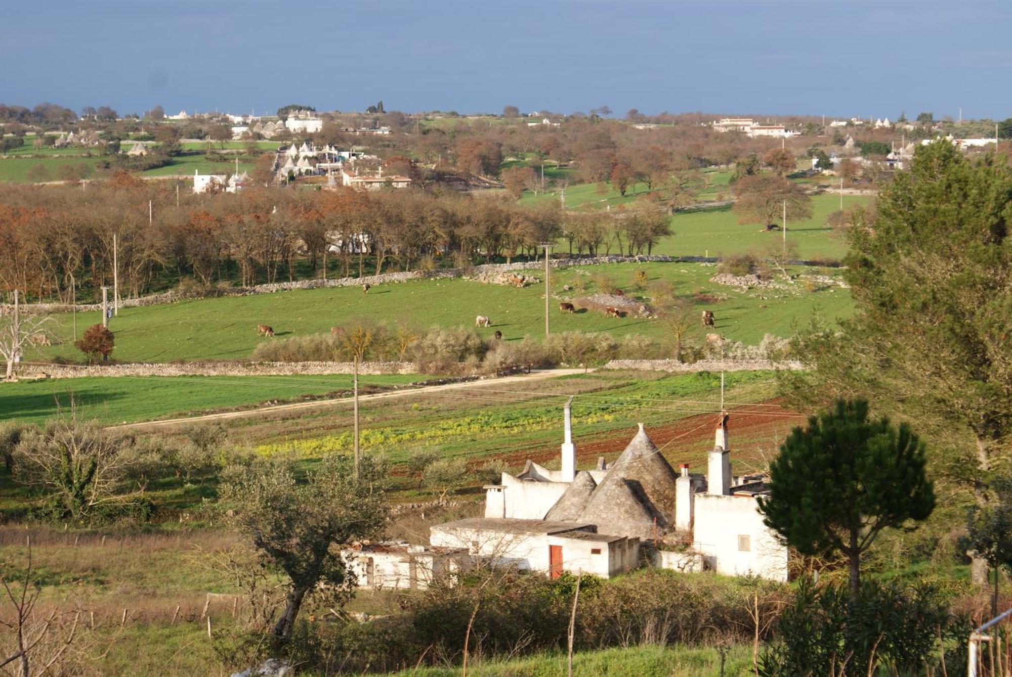 Agritrulli Konuk evi Ostuni Dış mekan fotoğraf